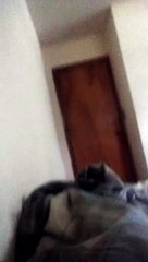 Black widow Ninja or bad guy?