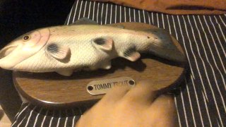 Tommy Trout the singing fish