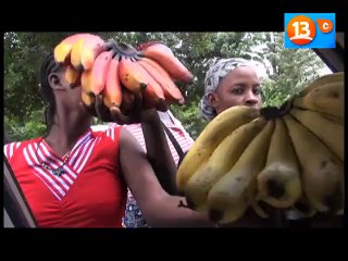 Mosquito River   13C