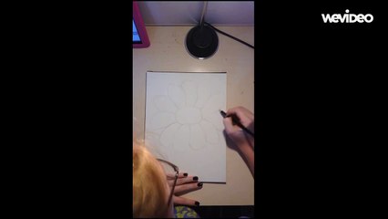 Purple Daisy   Drawing Timelapse colored pencil