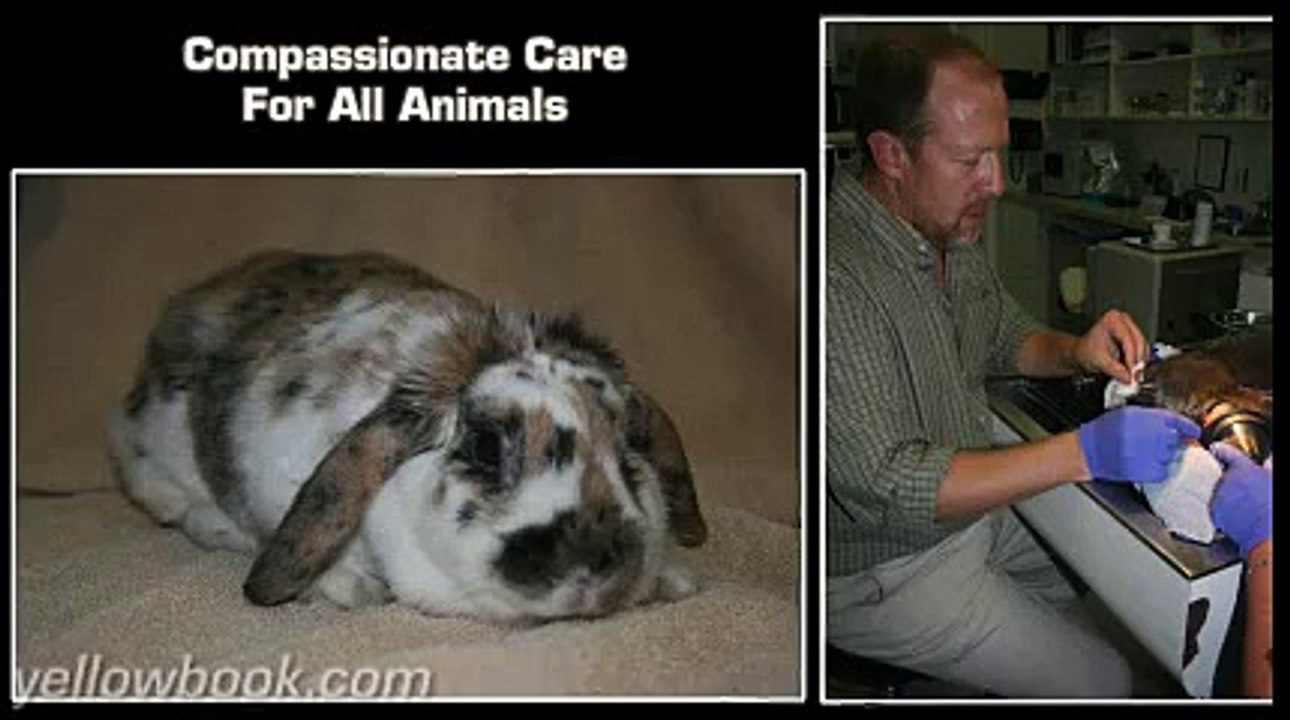 Discovery Valley Animal Hospital - San Marcos, CA