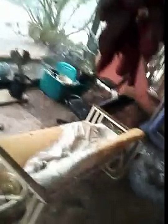 Hail and rain