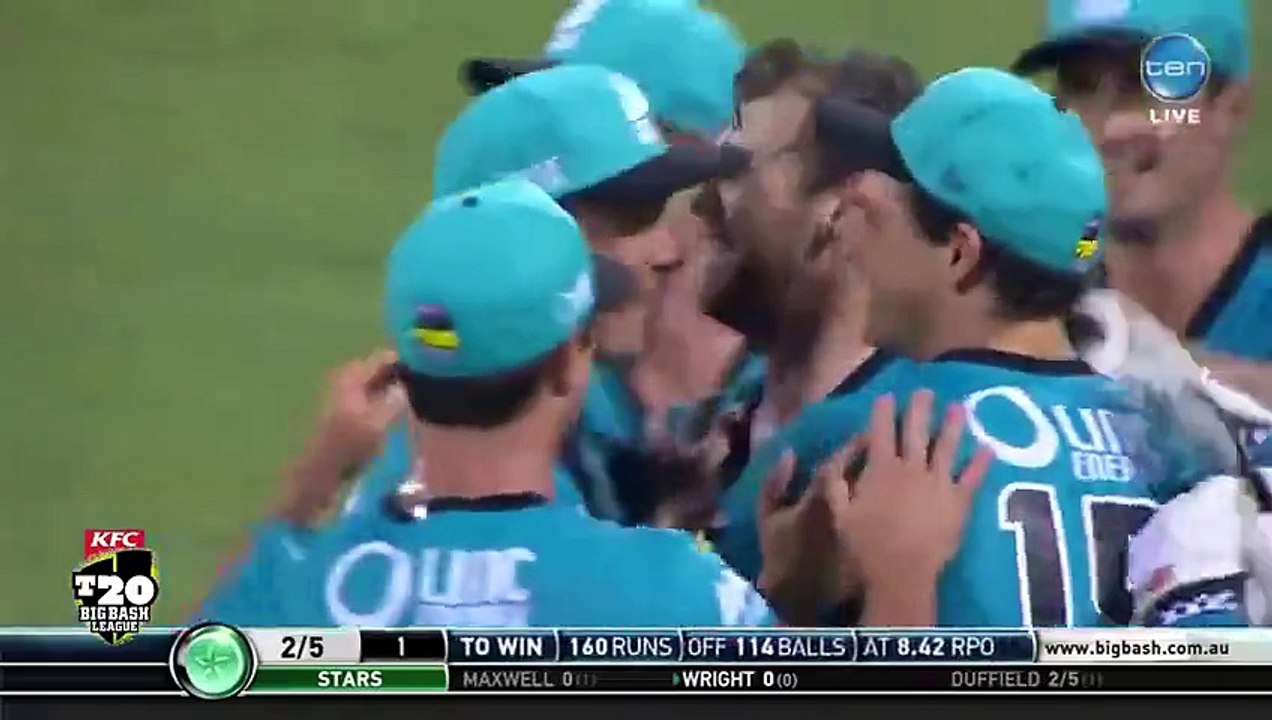 Cricket Amazing Bold
