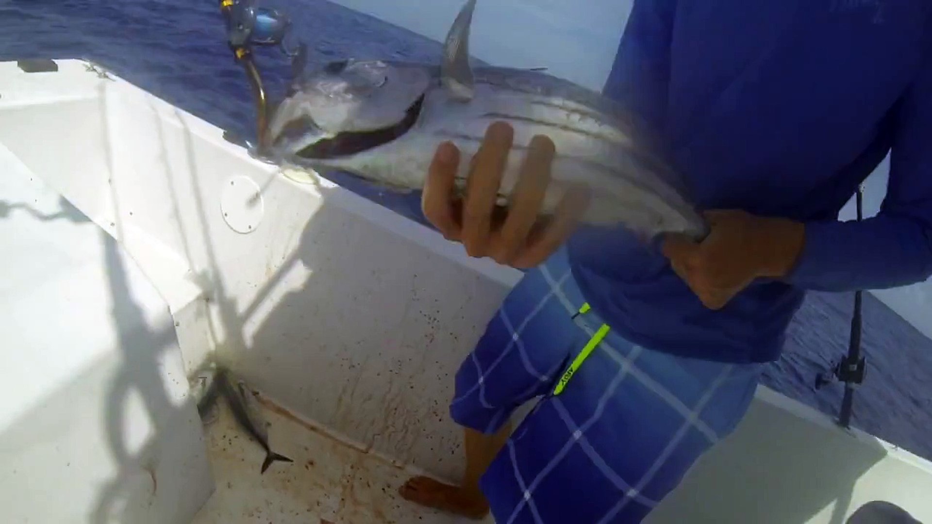 Deep Sea Fishing In The Cayman Islands Video Dailymotion