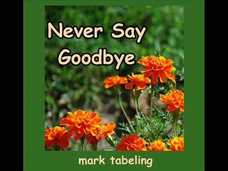 Never Say Goodbye