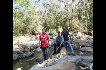 san javier san joaquin sep 2015