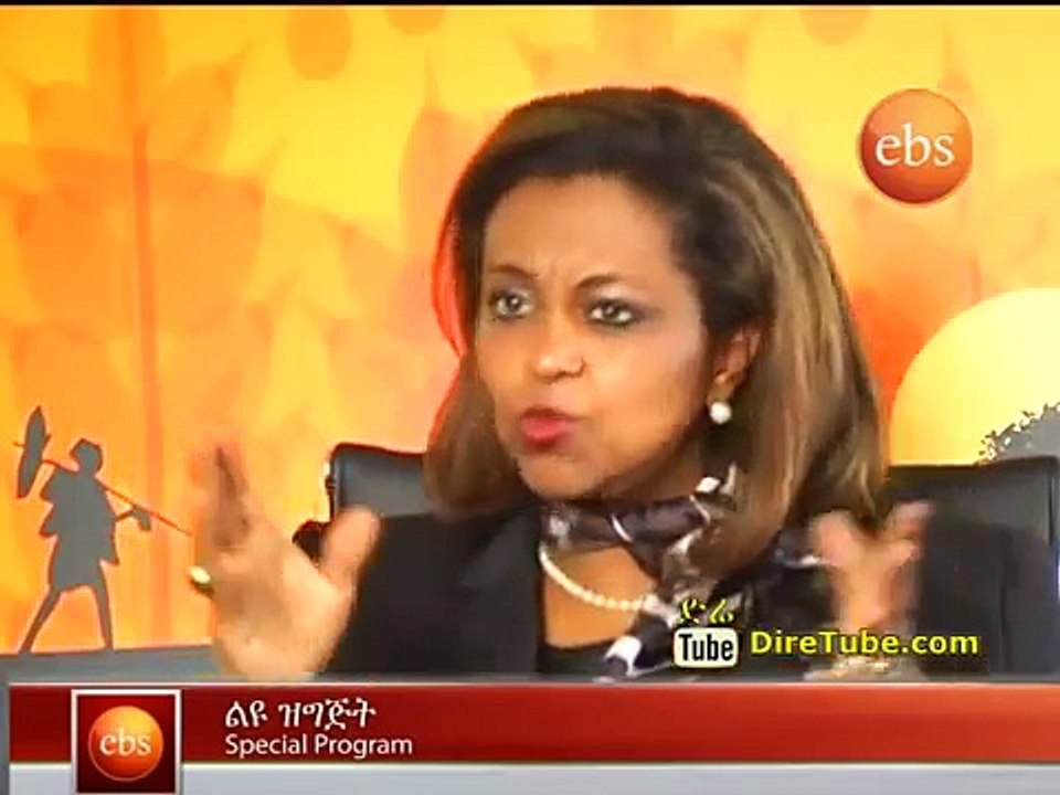Interview with Dr. Eleni G-Medhin - How I met Meles Zenawi