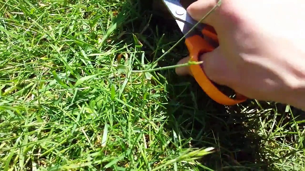 DHGate: Unboxing Headless Double Neck 6 String Guitar + 4 String Bass