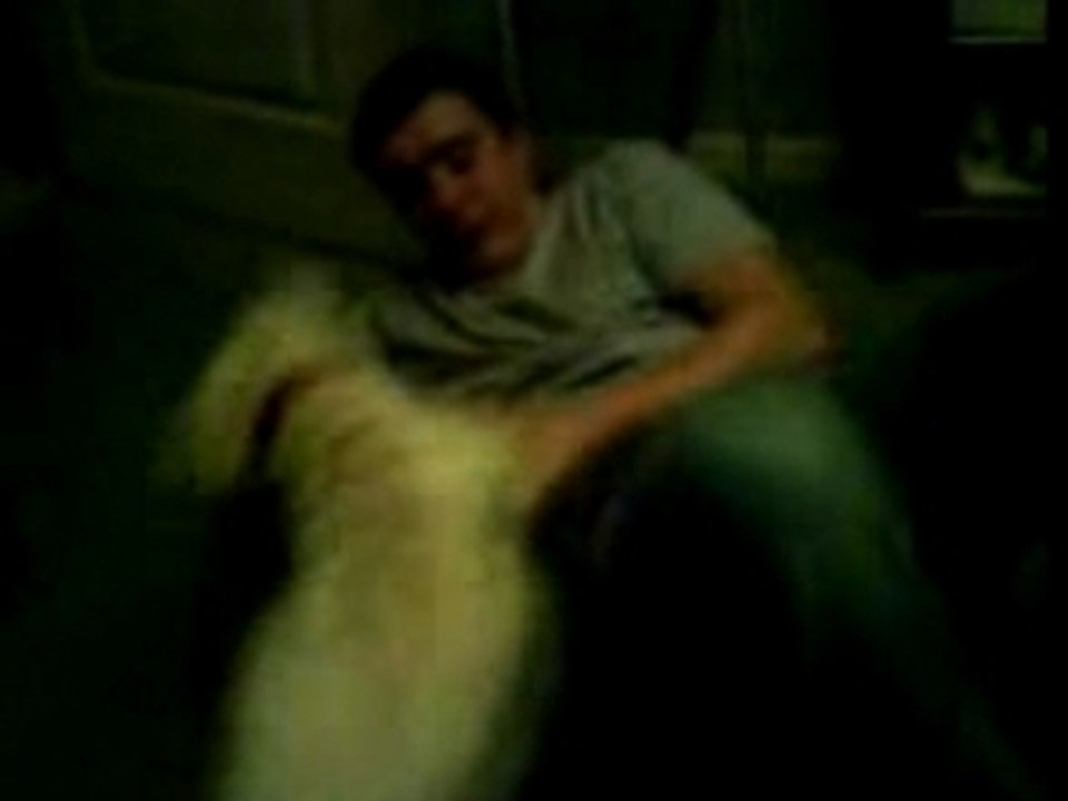 clem et son chien