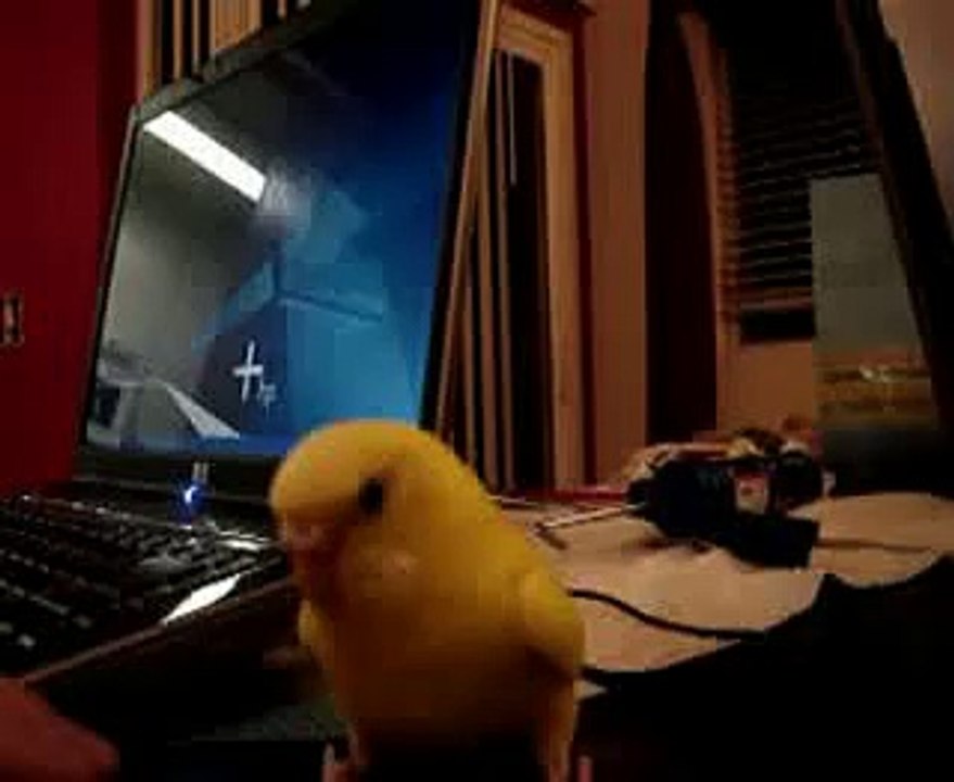 Pokemon Platinum Battle #34: Syberia vs. Olimar Man