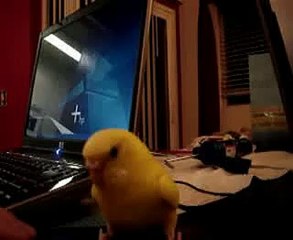 Pokemon Platinum Battle #34: Syberia vs. Olimar Man