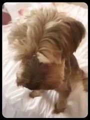 My June 2nd, 2015  (Created with @Magisto)