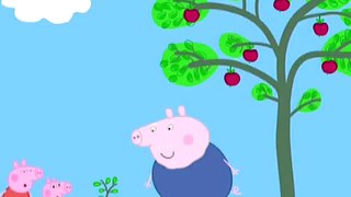Свинка Пеппа на русском   В саду   09   Peppa Pig все серии