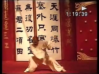 Tang Wei Zhong - Chen Tai Chi