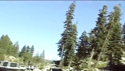 El Tejoncito/ Huapango