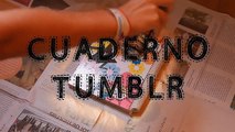 DIY Cuadernos Tumblr -Vuelta a clases- (Con hey hans)  |Maria Gb