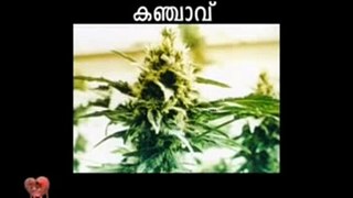 DRUGS Malayalam conscientisation