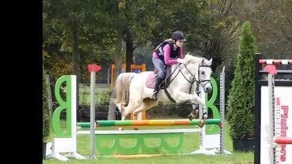 Te-koop:-super-leuke-c-sportpony-ruin-Indigo