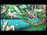 Paleontología: Craneos