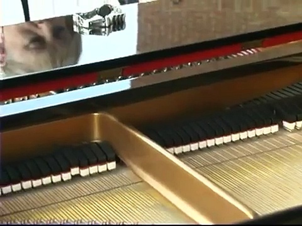 Begin the Beguine [Live, excerpt] -- Beegie Adair Trio