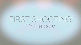 Shooting My bow in the Dark OneShot