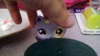 Lps DIY project: how to. Cat