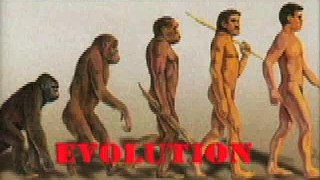 Myth Busters: Evolution