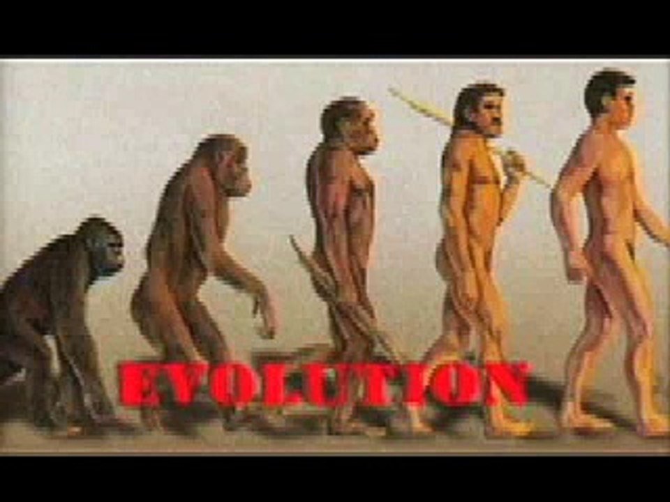 Myth Busters: Evolution