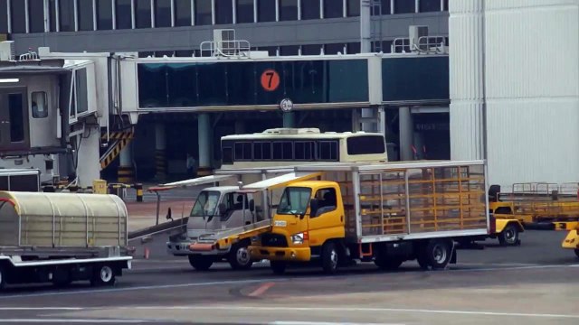 Korean Air Daewoo BS106 Hi-Power Cabin Service bus moving around Jeju International Airport