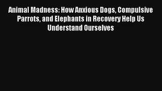 Read Animal Madness: How Anxious Dogs Compulsive Parrots and Elephants in Recovery Help Us