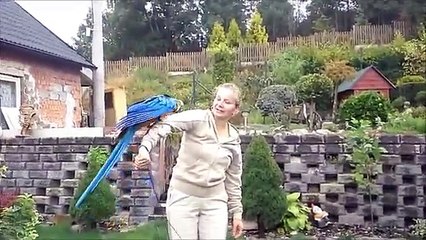 Ara Ararauna- první den venku