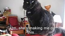 Kitty Valentine