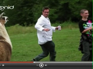 TABLAZO.com Compilacion (Fail Compilation) #1