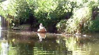 Canoeing on the Wreake