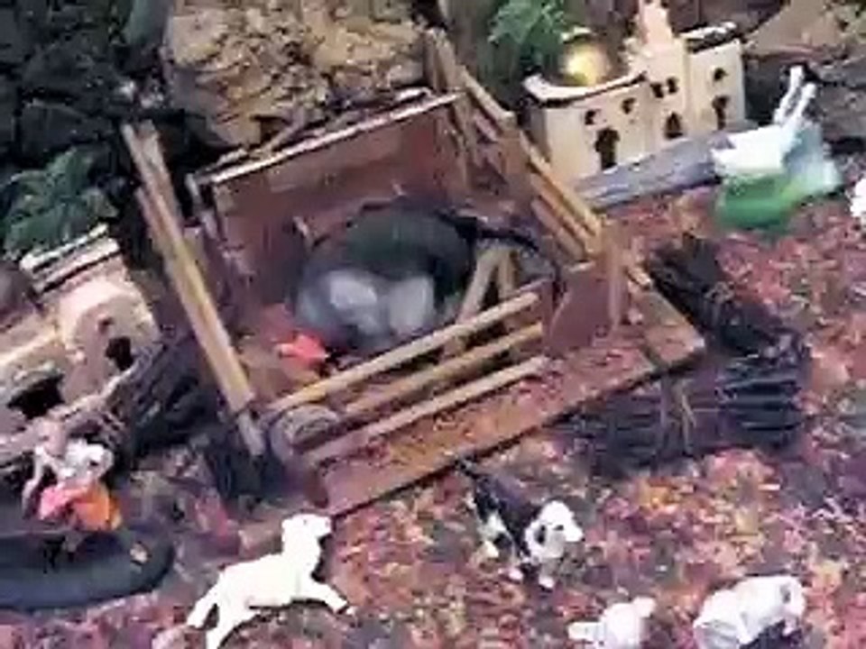 Ivan il criceto - Una passeggiata nel presepe