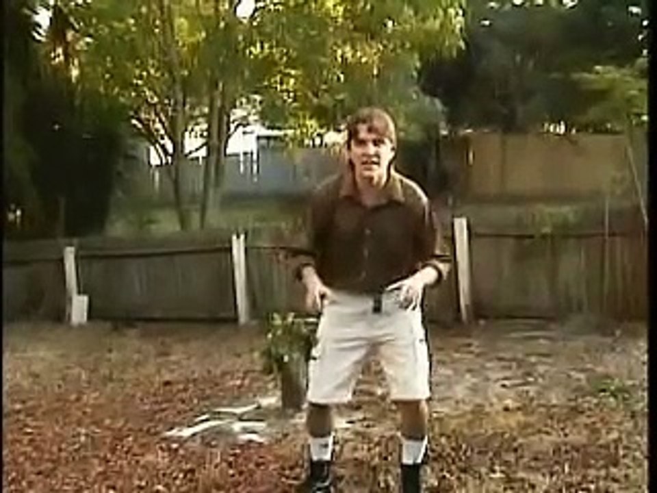 Crocodile Hunter Steve Irwin tribute / parody