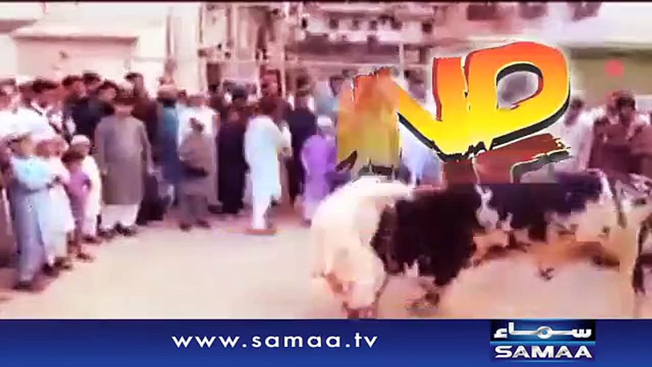 Cow Vs Butchers Fight Must Watch Video