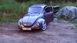 13b Rotary beetle