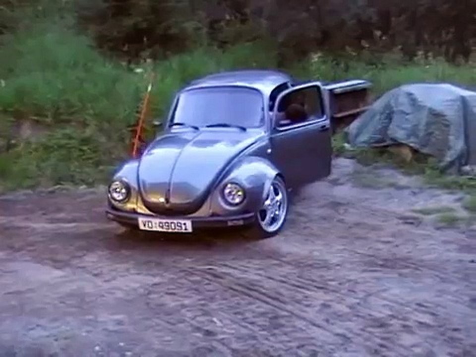 13b Rotary beetle