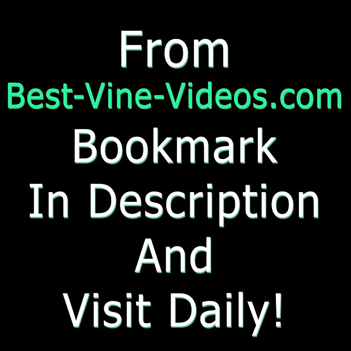 Trending Vines for PVDA on Twitter Compilation - March 17, 2015 Tuesday