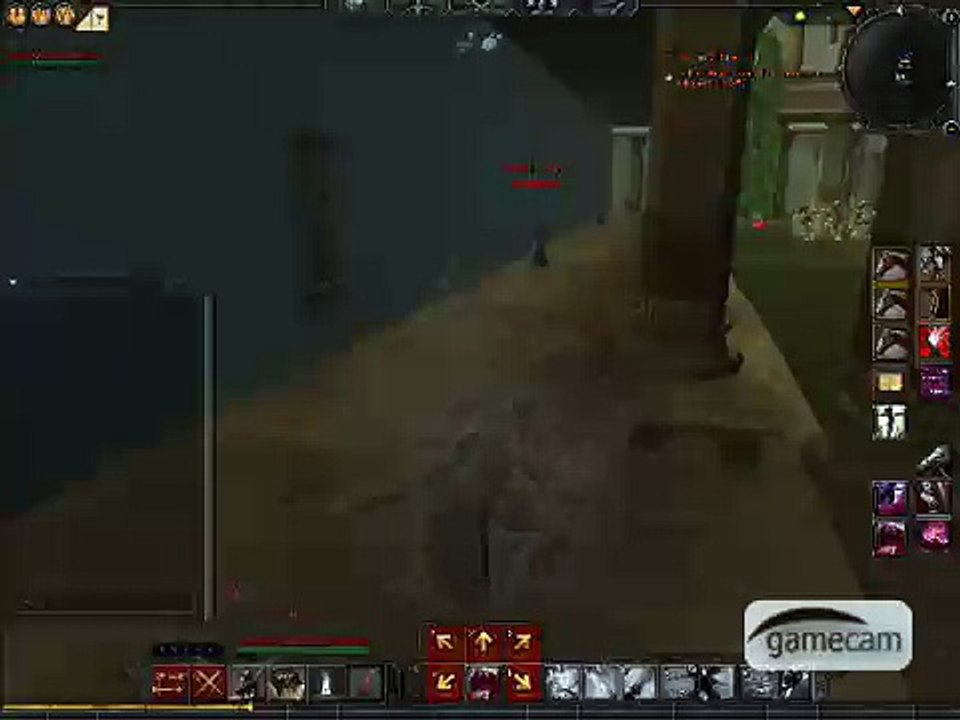 Age of Conan Assassin kill