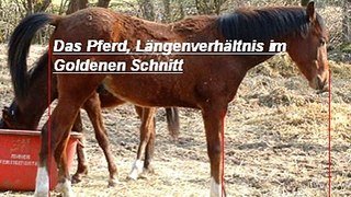 The biggest Mystery - Geheimnis des Lebens  Teil 1   Die Weltschöpfung im Goldenen Schnitt