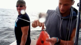 Big Game Fish on Jigging Fishing