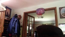 Indoor basketball dunks and shots