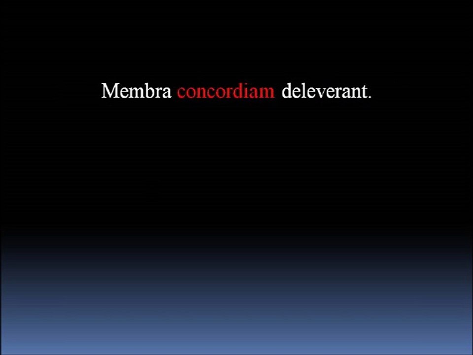 31 Lateinvokabeln I-K33 und 34