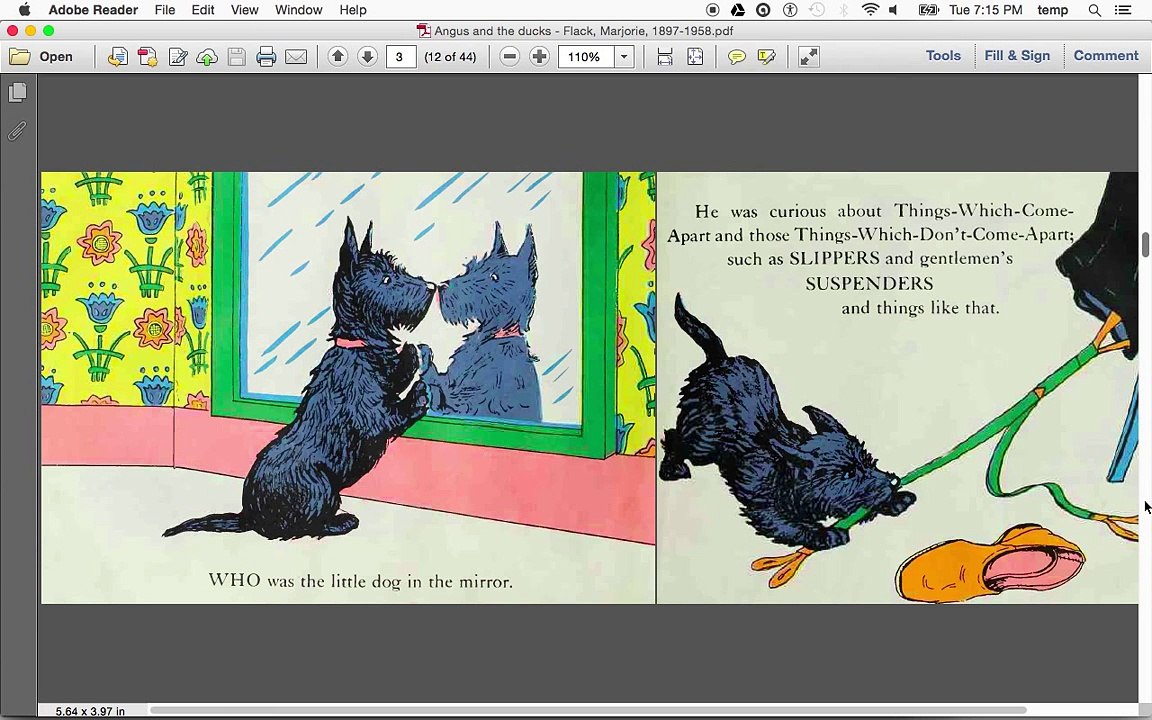 Angus and the Ducks (read aloud)