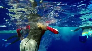 Symphony of Whales- Tonga (GoPro)
