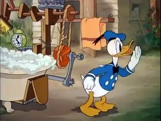 Donald Duck Cartoon   Donald's Dog Laundry