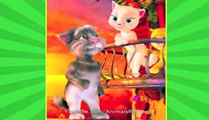 Nepal votes on new constitution