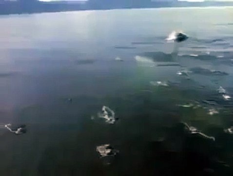 ALLAH Ki Qudrat-ALLAH Ki Shaan- Miracle Of ALLAH-Must Watch & Share Don't Ignore